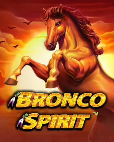 bronco spirit
